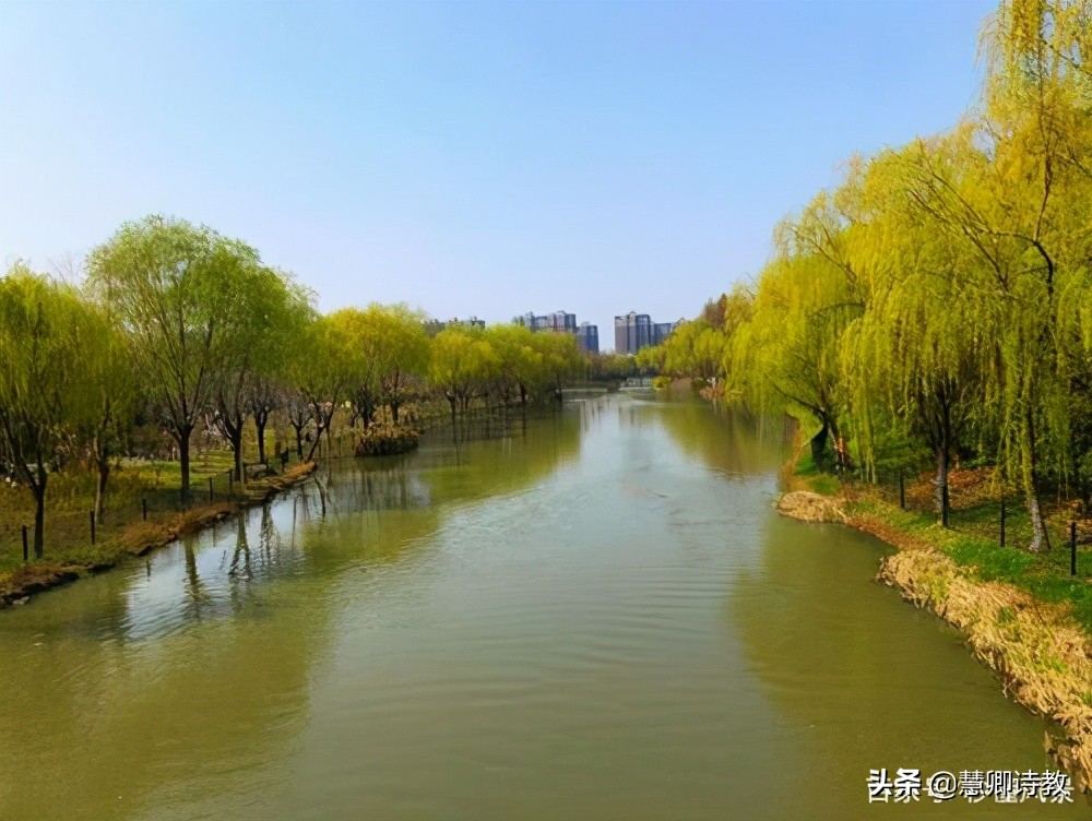 与清明节有关的作文（关于清明节的作文优秀作文）