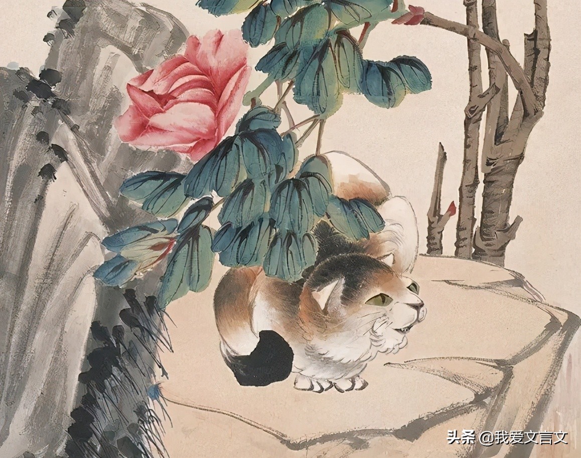 正午牡丹文言文翻译（正午牡丹给我们的启示）