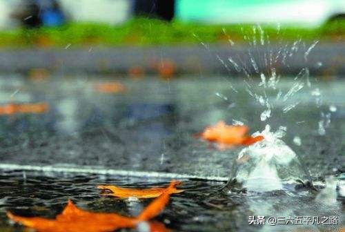 一场秋雨一场寒什么意思（一阵秋雨一阵寒的诗句）