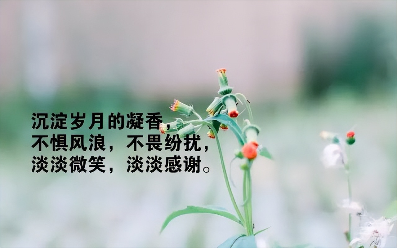 简单生活心态的句子（放好心态顺其自然的句子）