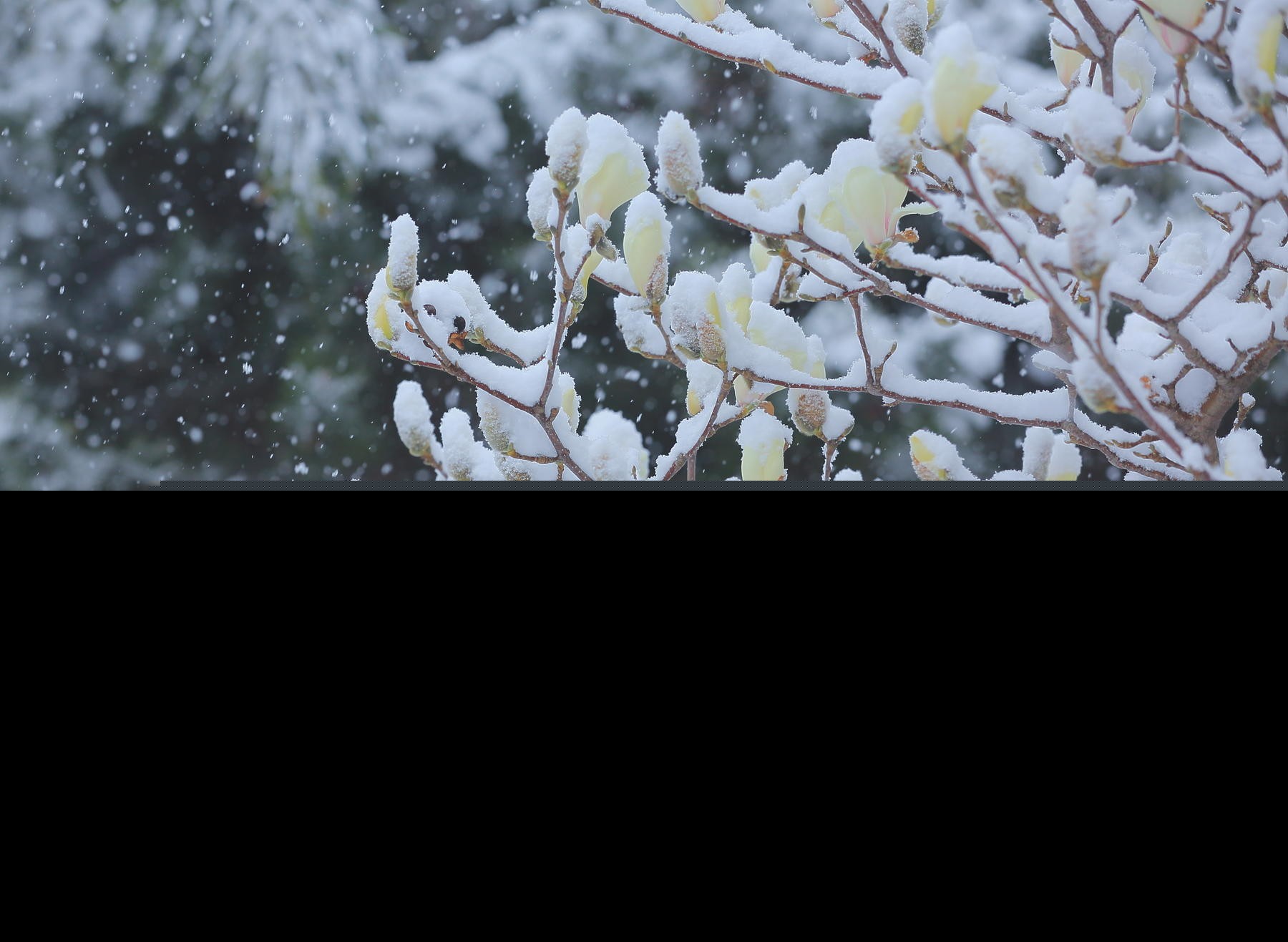 形容三月下雪的句子（三月下雪的心情感慨）