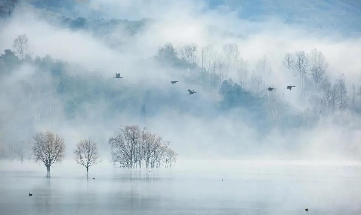 风景优美空气清新的唯美句子（赞美大自然的句子）