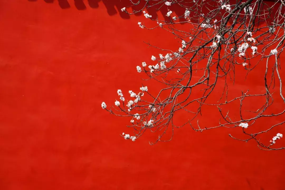 节日的诗句有哪些（有关传统节日的古诗）