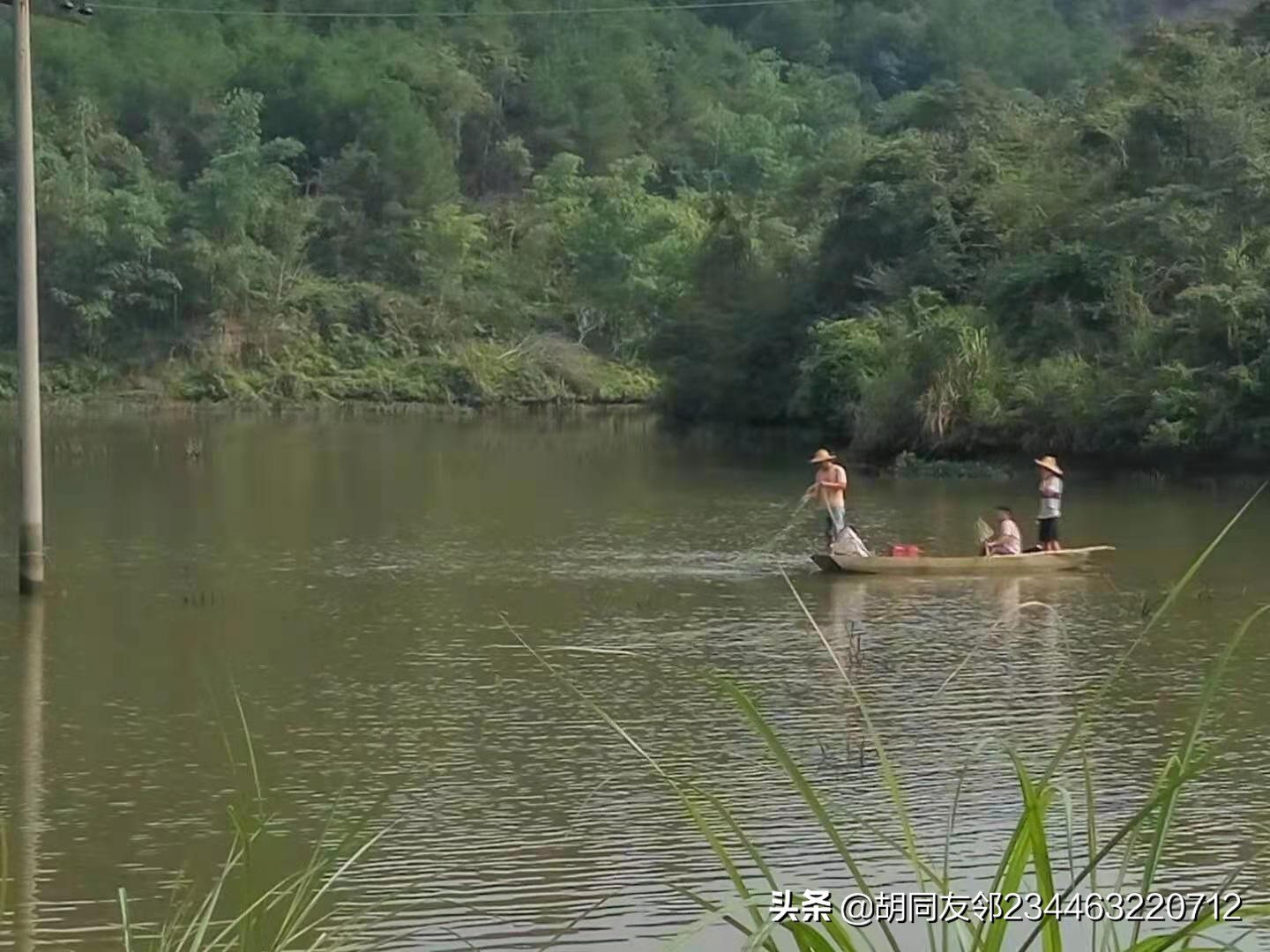 浑水摸鱼的意思是什么（浑水摸鱼的解释和造句）