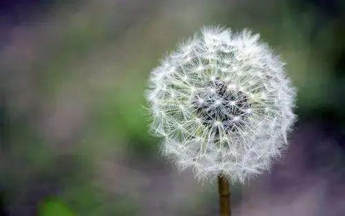 祝福的唯美句子短句（温暖祝福的句子唯美 ）