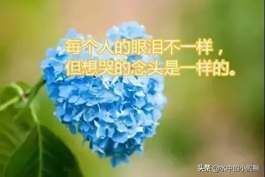 心灵鸡汤青春励志短句（人生鸡汤短句正能量）