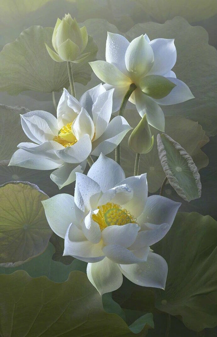 陆龟蒙的作品有哪些（陆龟蒙最著名的诗）
