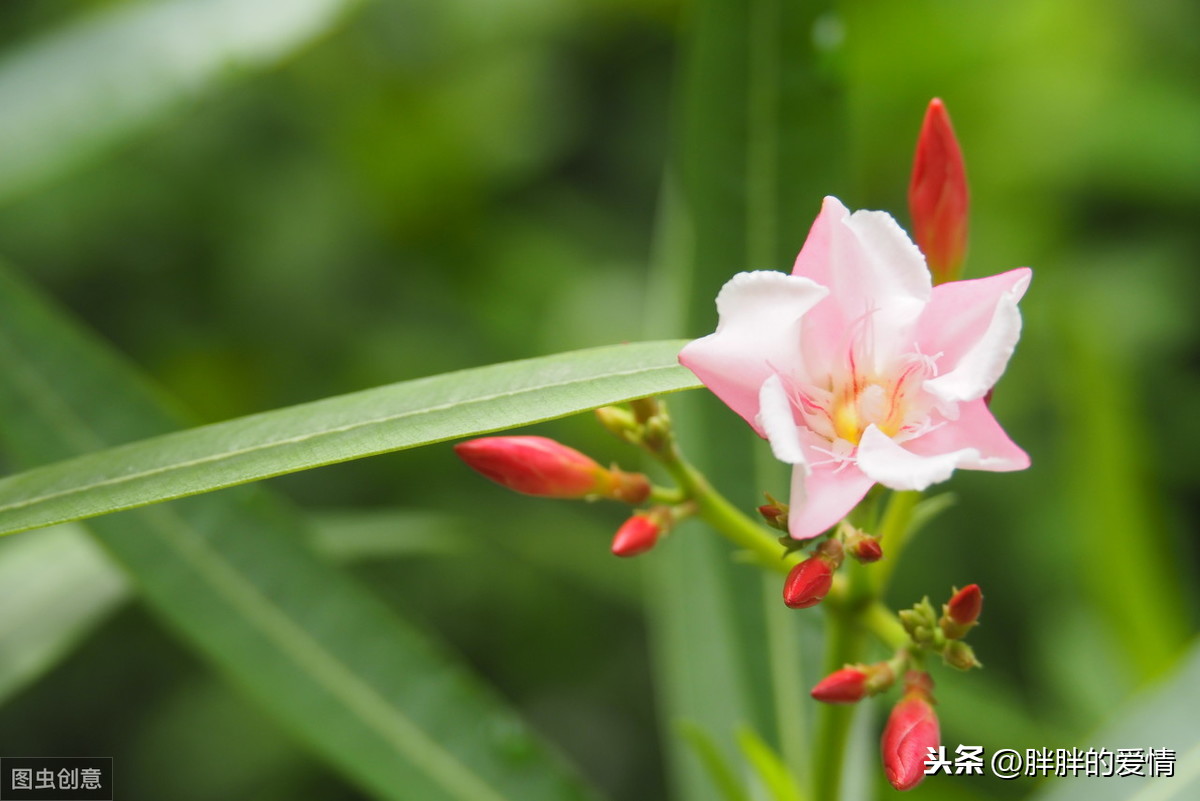 时光静好是什么意思（岁月静好诗句分享）