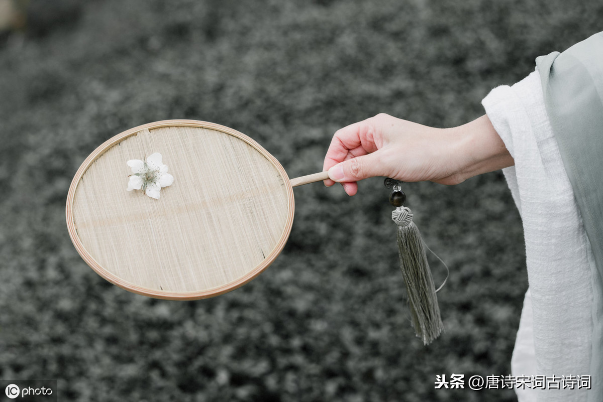 感恩诗句古诗大全（心怀感恩的古诗词）