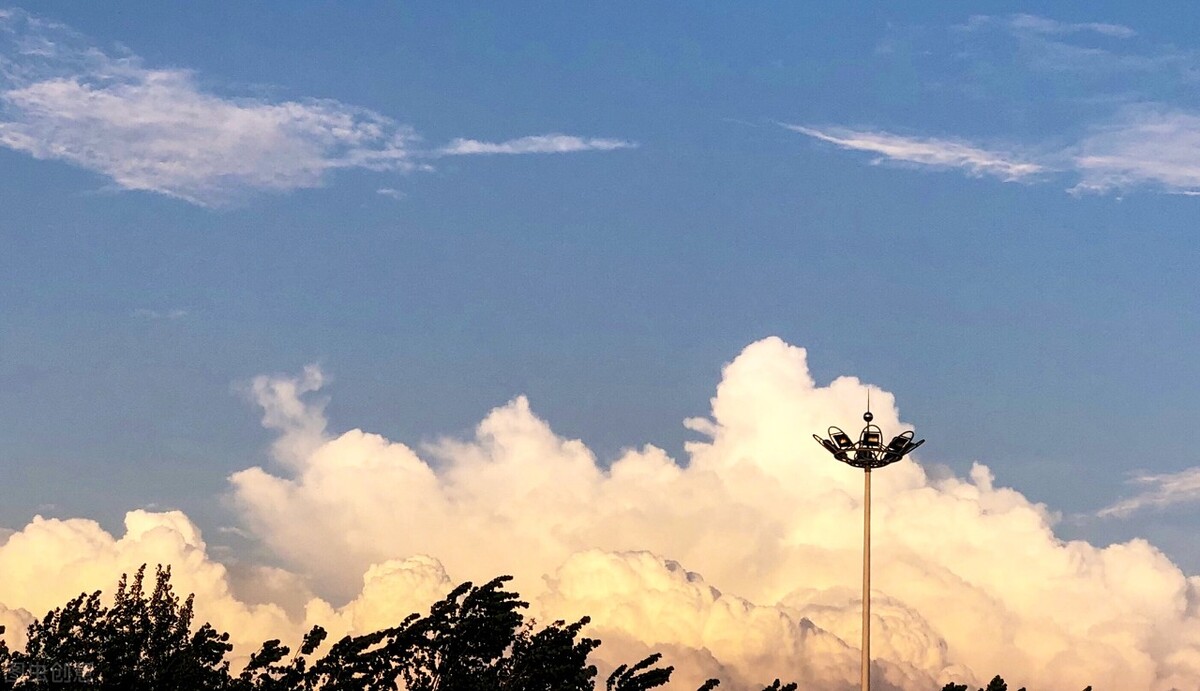 优美语句摘抄大全（优美语句摘抄经典语录）