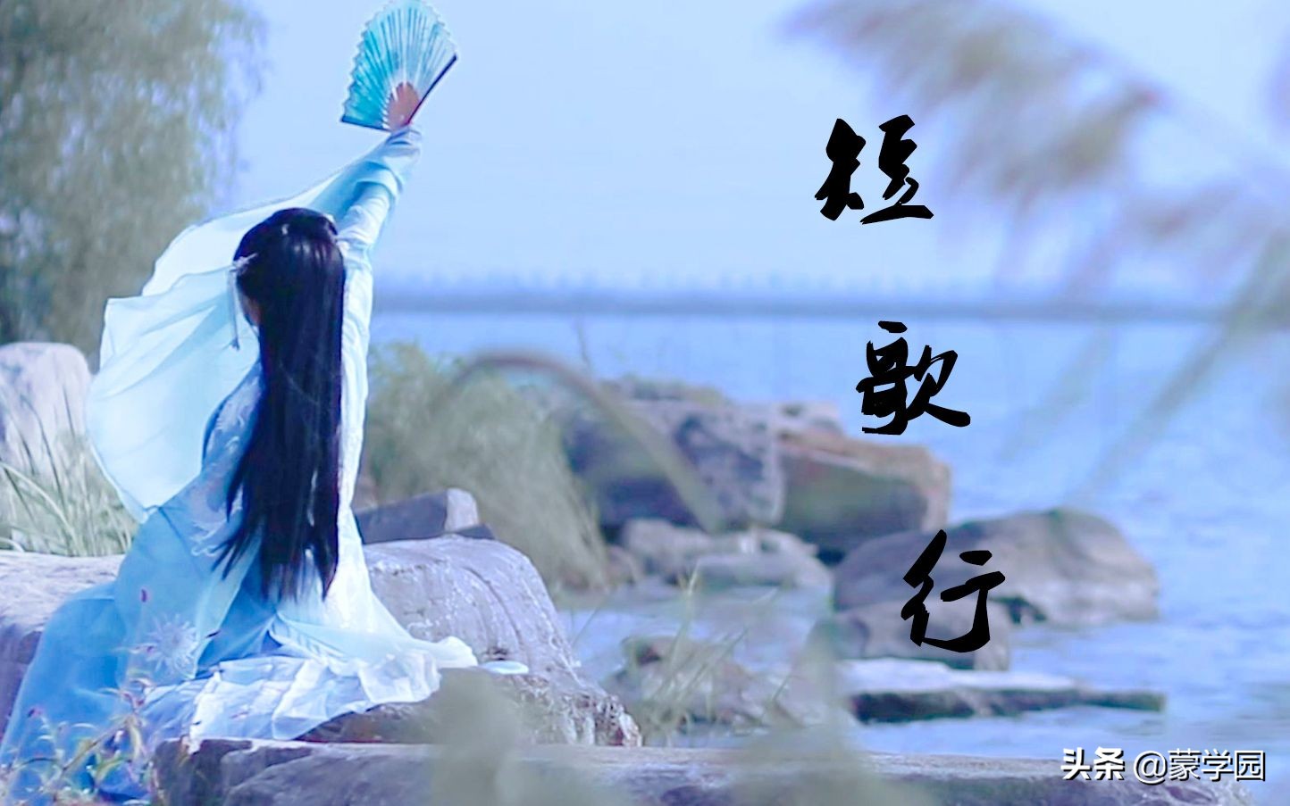 惜时古诗陶渊明（杂诗之惜时陶渊明）