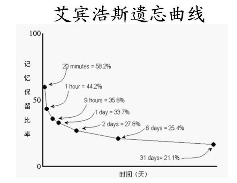 记单词的好方法有哪些（记单词方法技巧推荐）