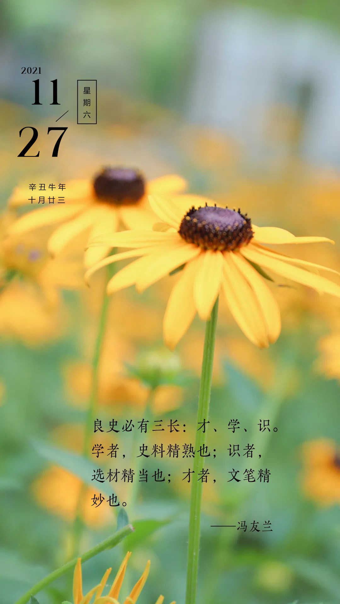 努力的句子正能量（适合发朋友圈正能量短句）