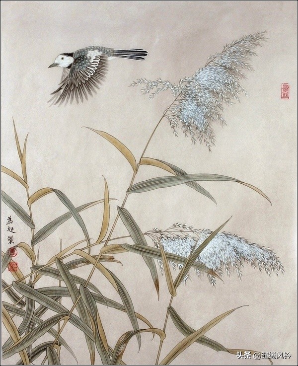 代悲白头翁作者是谁（代悲白头翁刘希夷名句赏析）