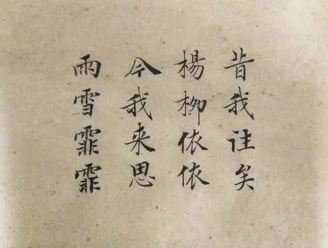 柳树的描写优美句子（关于垂柳的优美句子）