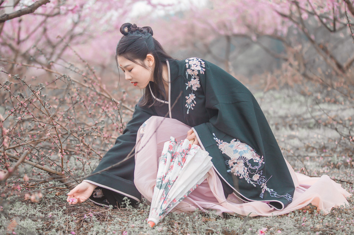 三月桃花的唯美诗句（描写桃花的诗鉴赏）