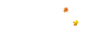四季的成语春夏秋冬（关于四季景色的成语大全）