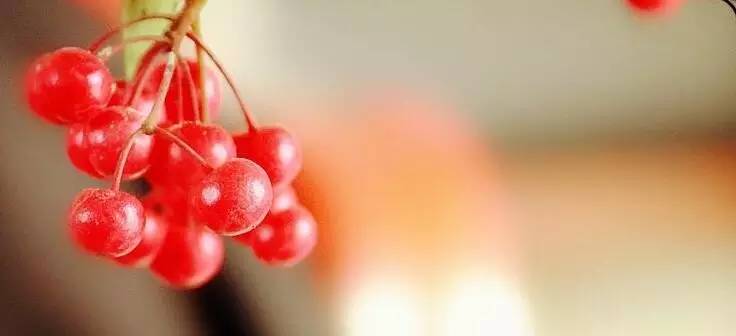 玲珑骰子安红豆全诗（温庭筠玲珑骰子安红豆赏析）