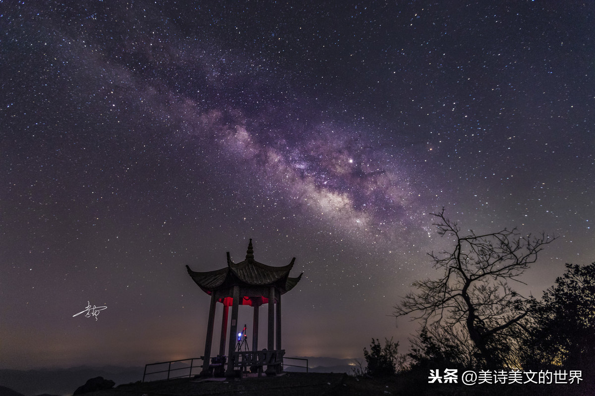 清风半夜鸣蝉作者是谁（清风半夜鸣蝉全诗赏析）