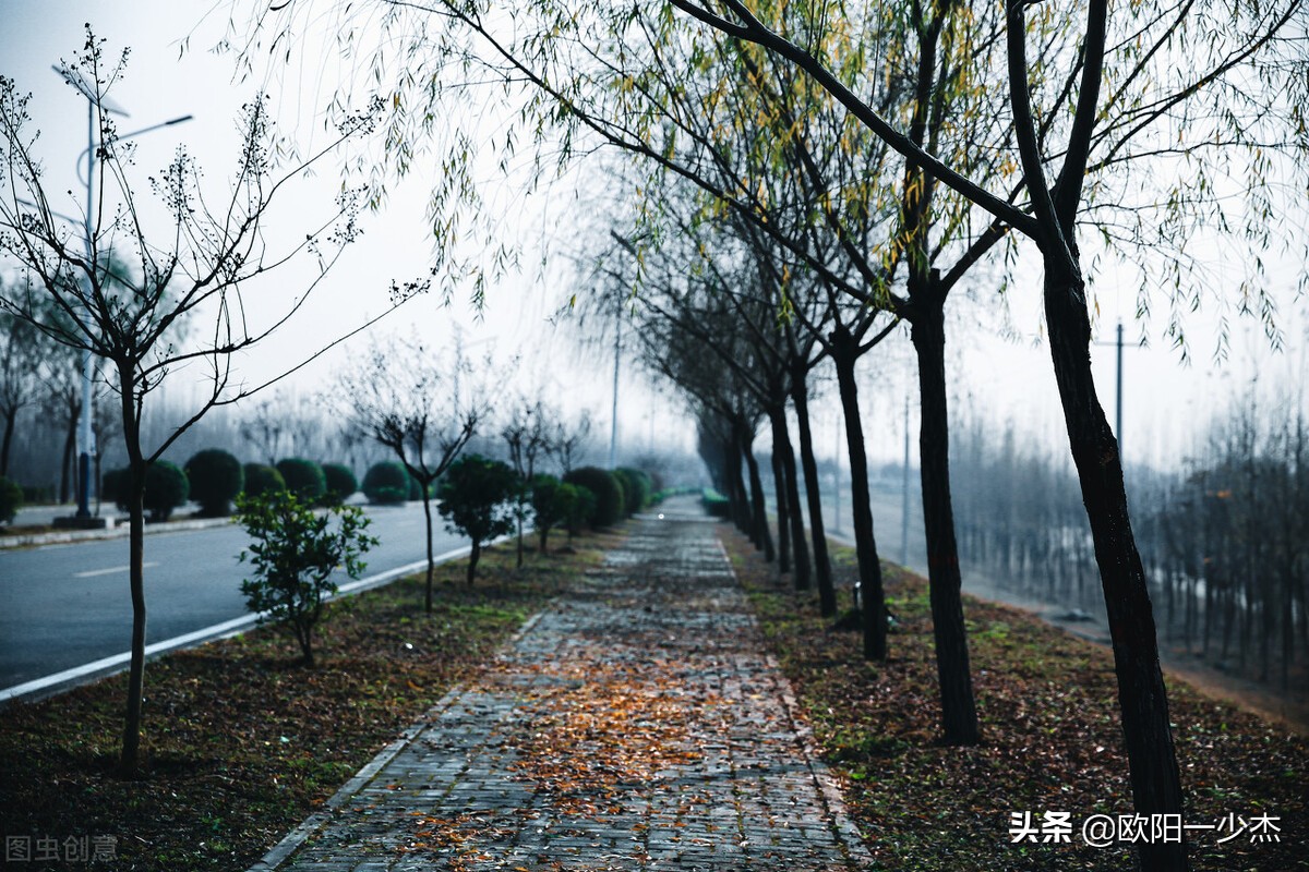描写秋雨的句子佳句（写秋雨的唯美句子开头）