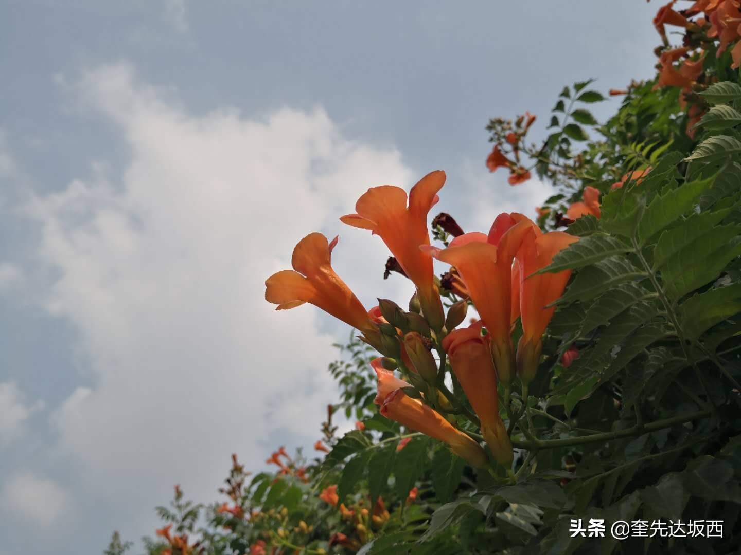 少年追逐梦想的诗句（千古绝句最美励志古诗文）