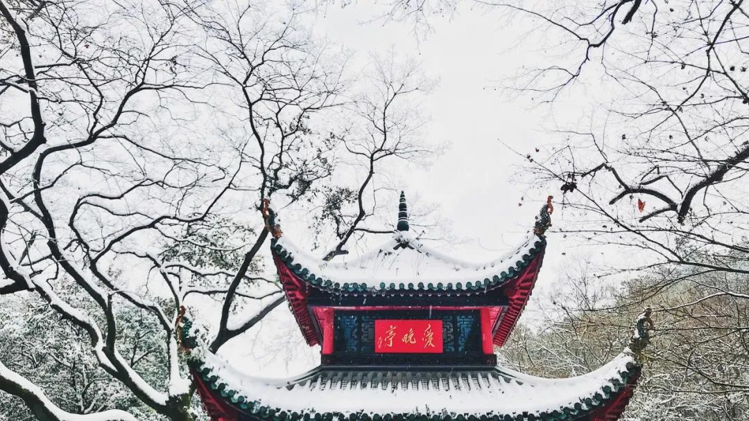 关于冬至的诗句（冬至诗词名句）