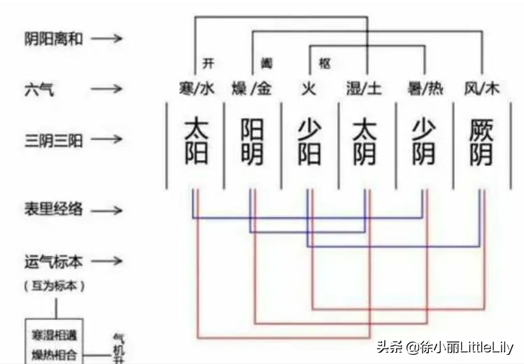 难经原文和译文（黄帝八十一难经白话文）
