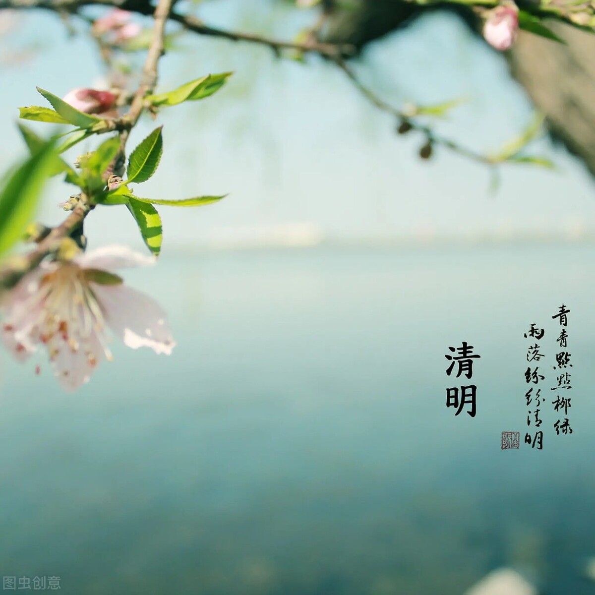关于清明节的唯美句子（描写清明节的优美句子）