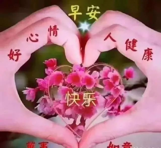 送祝福的唯美句子（唯美祝福有诗意的句子）