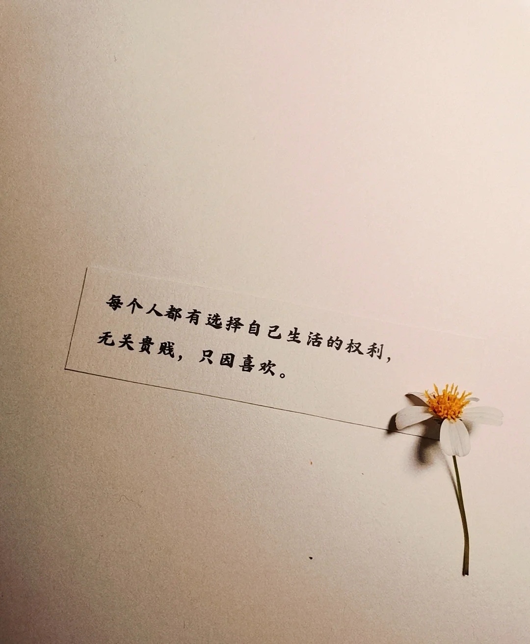 伤感个签女生伤感（女生个性签名伤感）