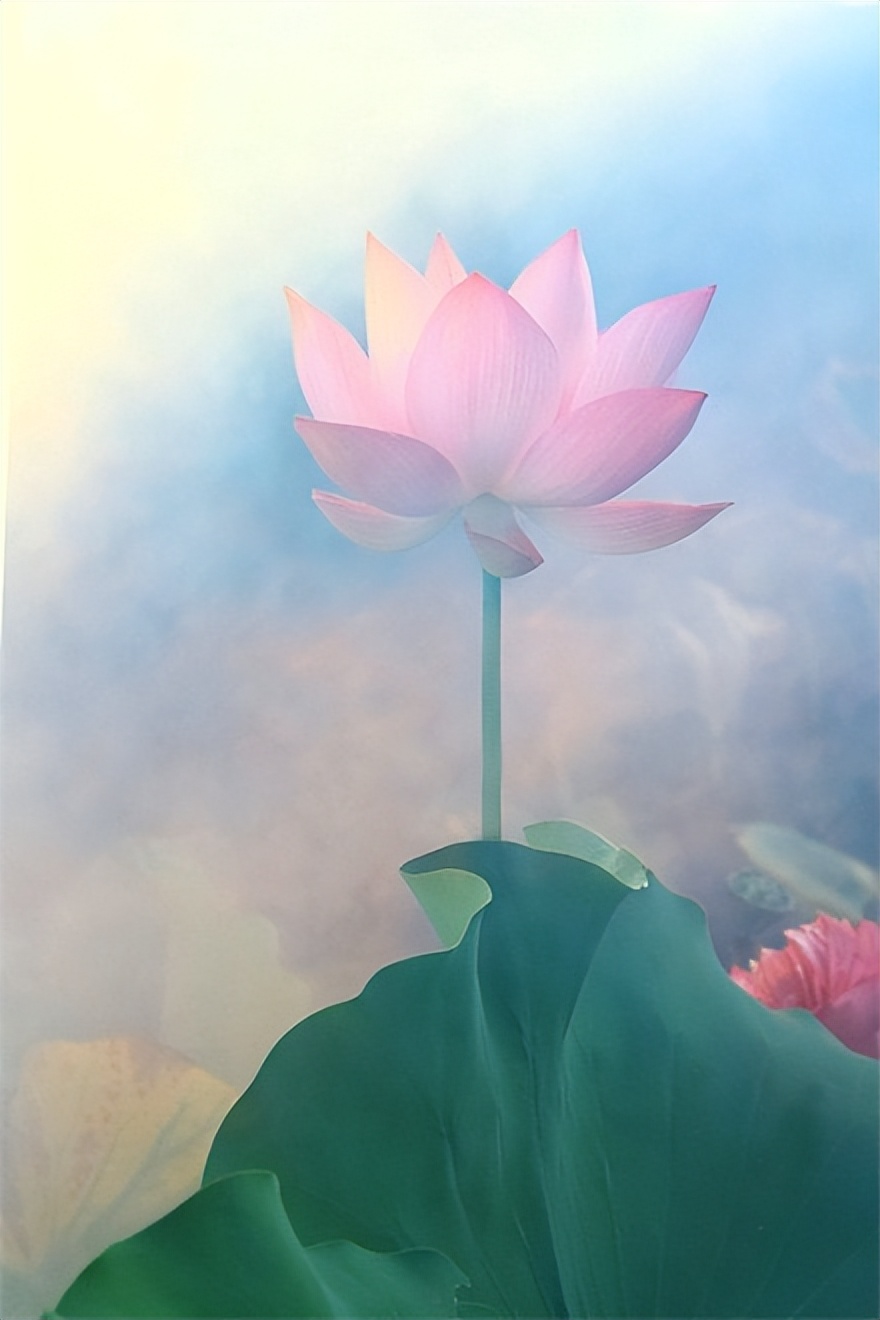 经典哲理句子大全（充满人生哲理的句子）