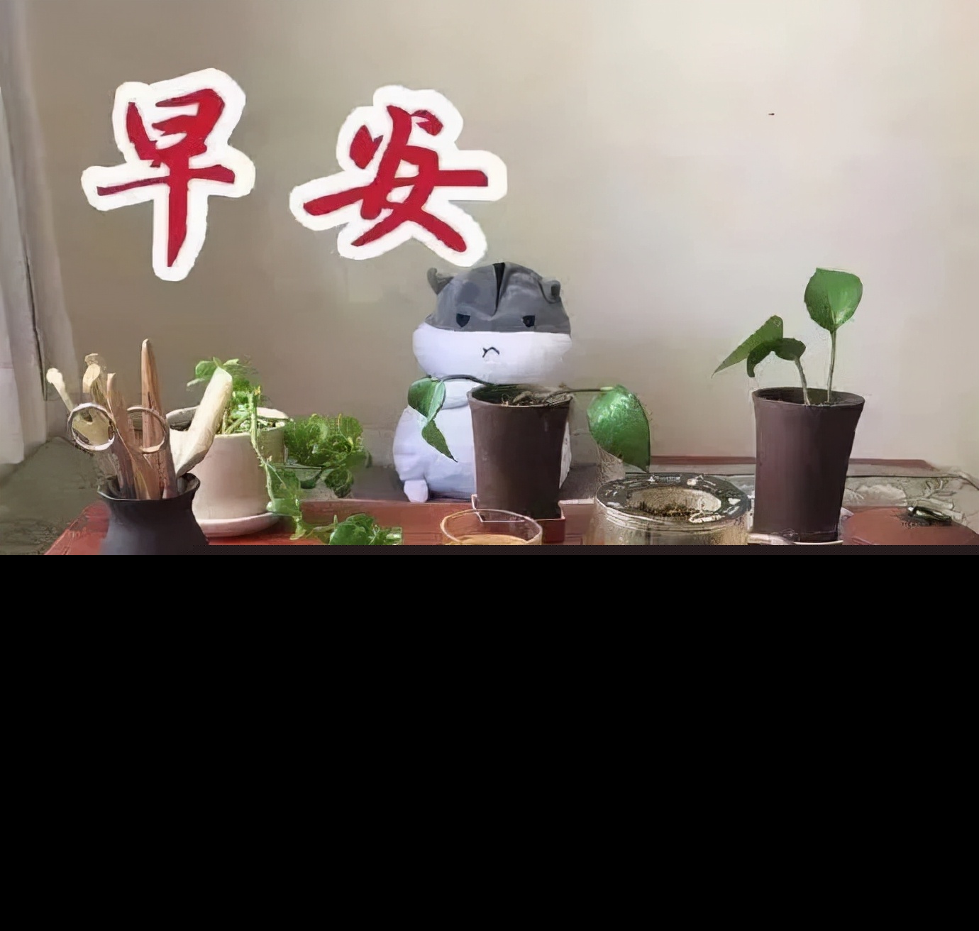 享受生活的唯美句子（享受生活语录经典短句）