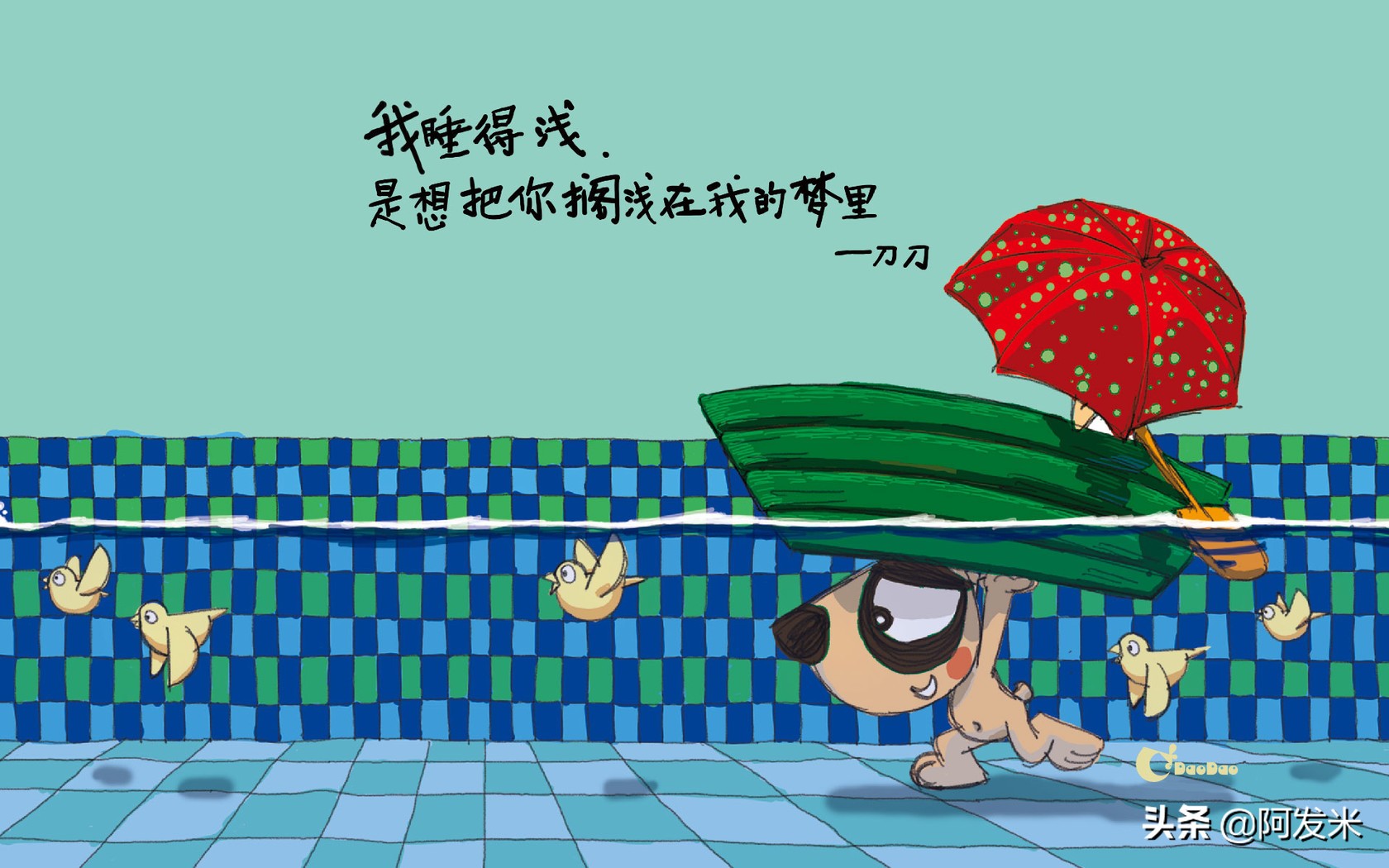关于刀刀语录（刀刀经典语录分享）
