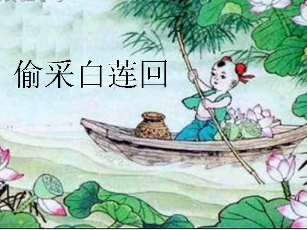 小娃撑小艇下一句是什么（池上全诗词鉴赏）