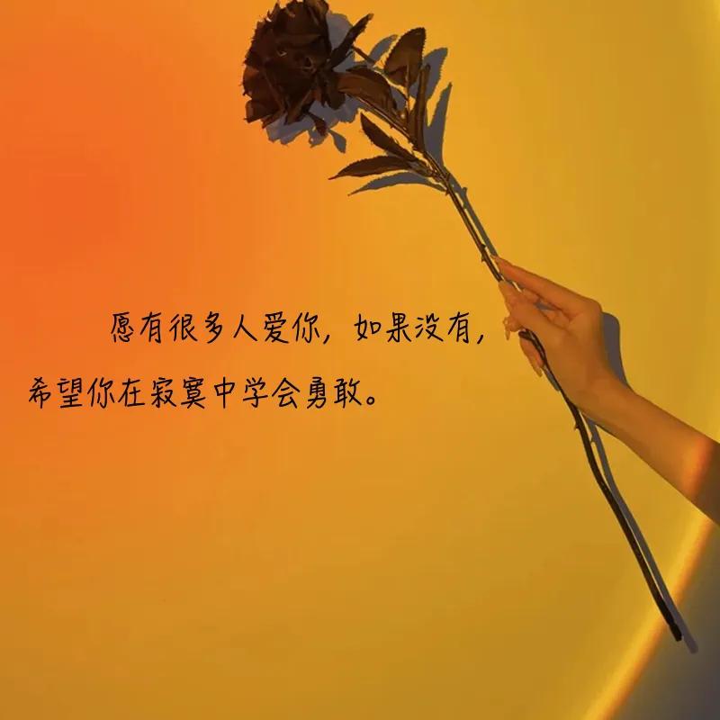 正能量句子励志短句子（激励上进正能量句子）