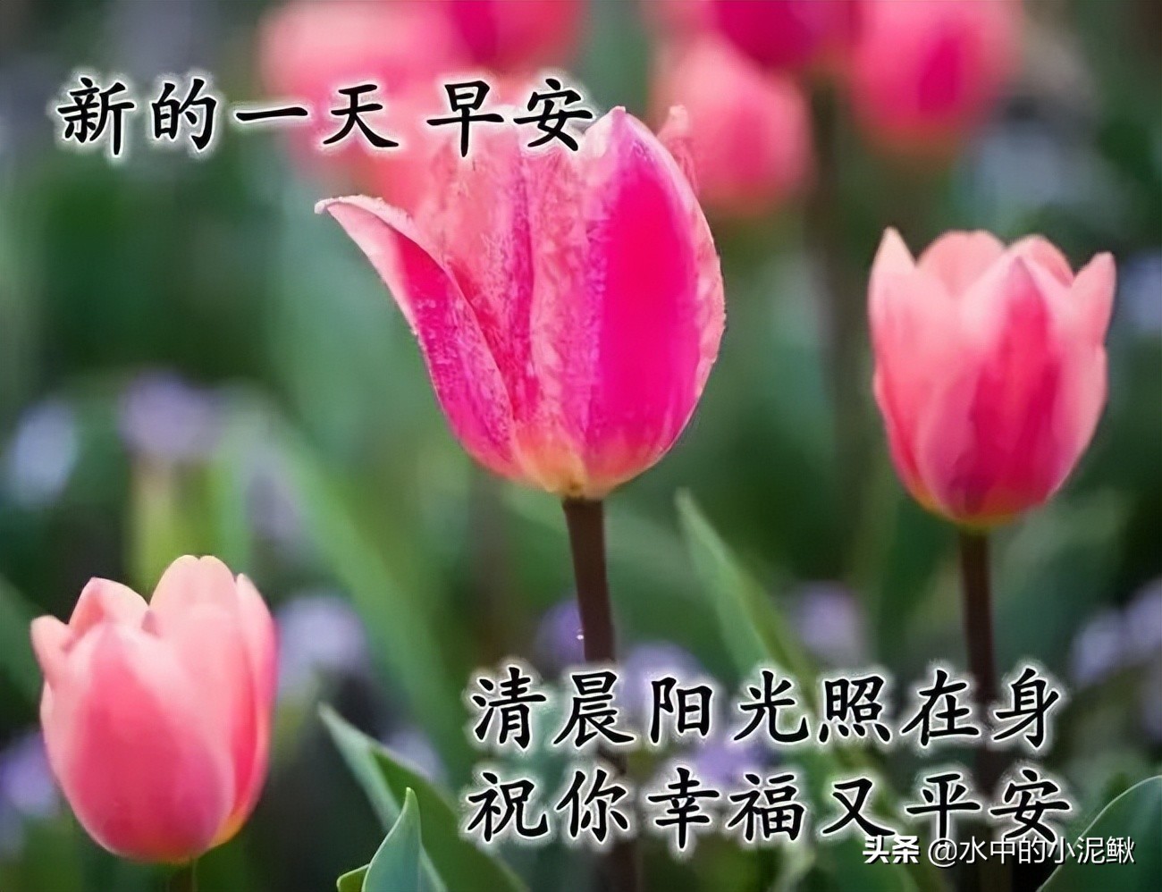2022年鼓励自己的话（感慨的句子致自己简短）