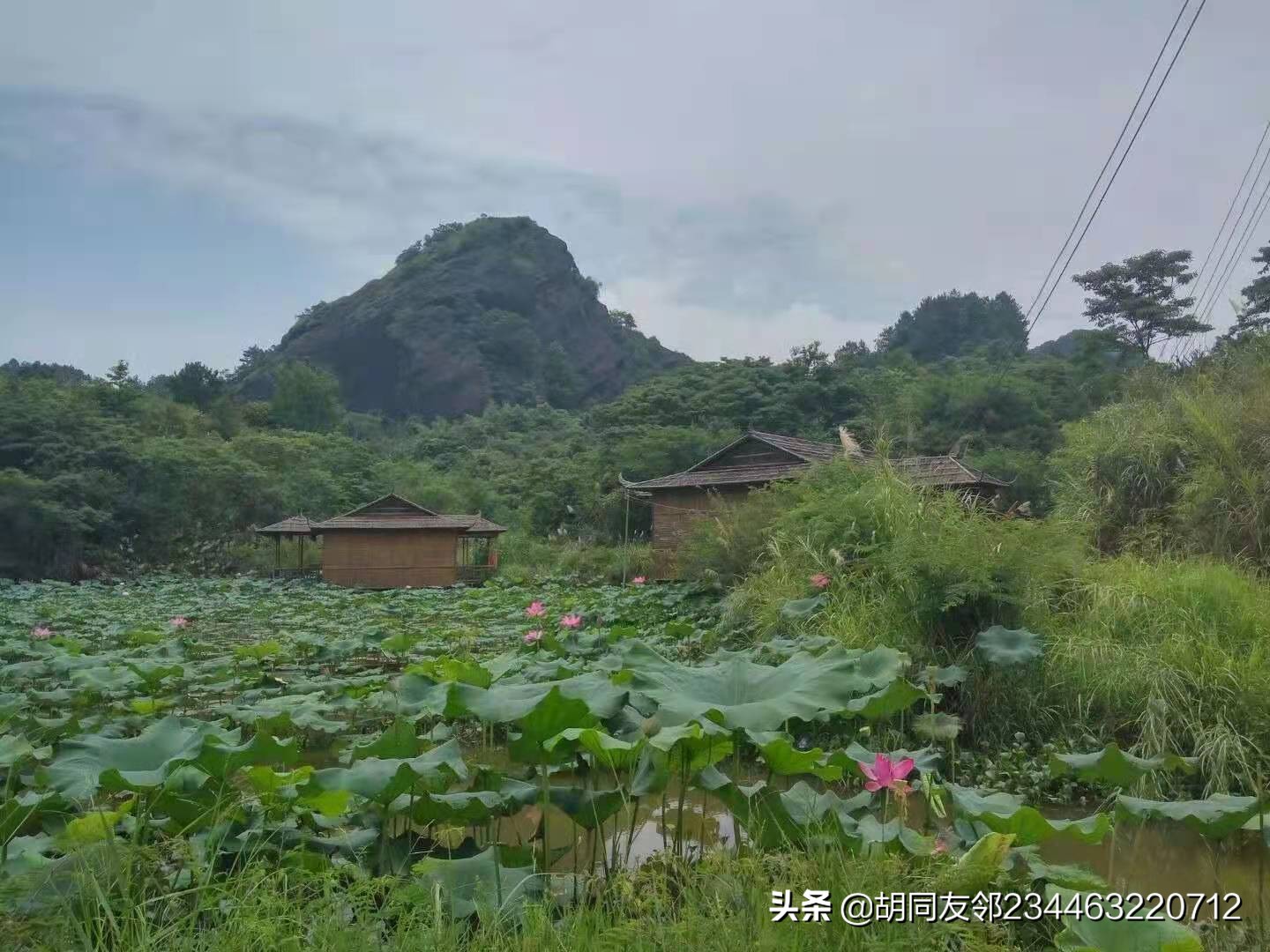 浑水摸鱼的意思是什么（浑水摸鱼的解释和造句）
