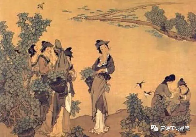 踏莎行晏殊原文（踏莎行翻译及赏析）