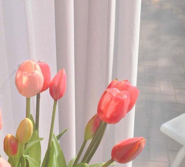 中秋节搞笑短信祝福语（关于中秋节的传说）