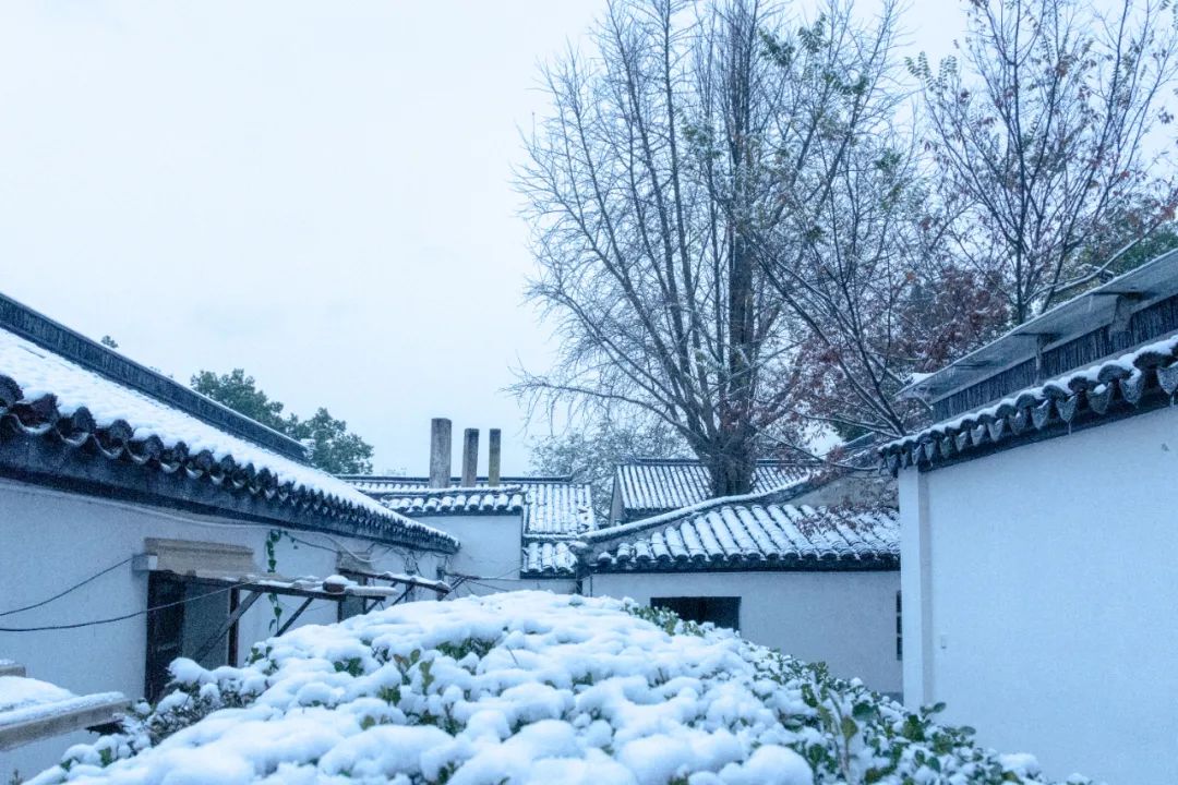 勉励学生求上进的诗句（激励学子们的金句名言）