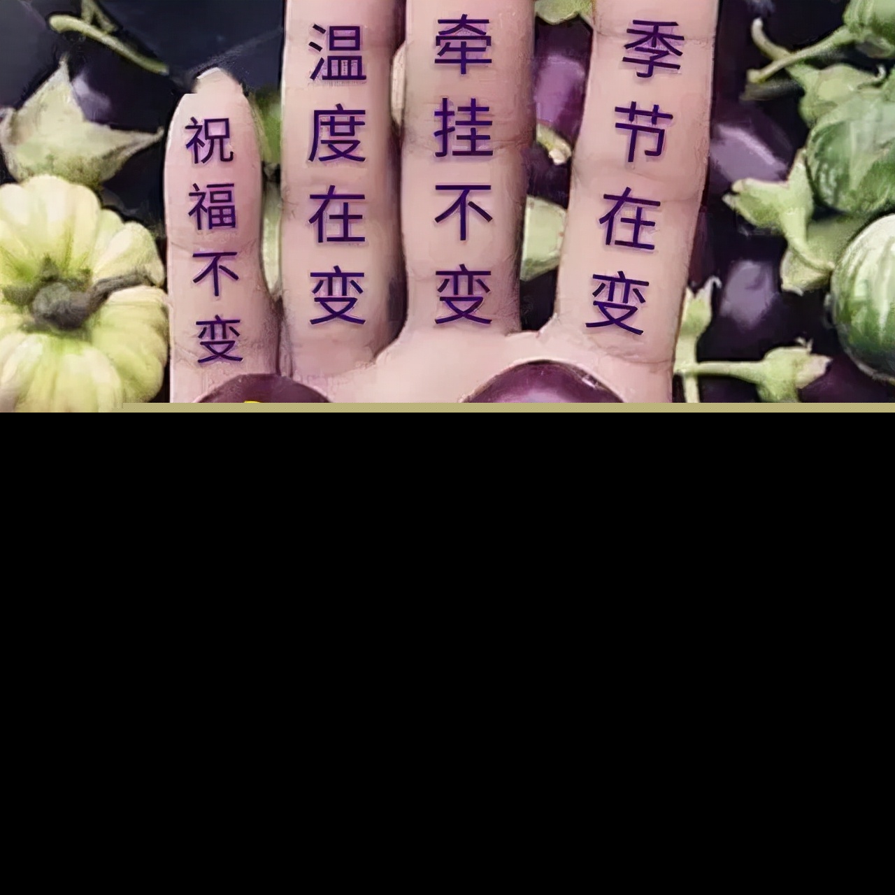 空间美文语录心语（qq空间优美短文摘抄）