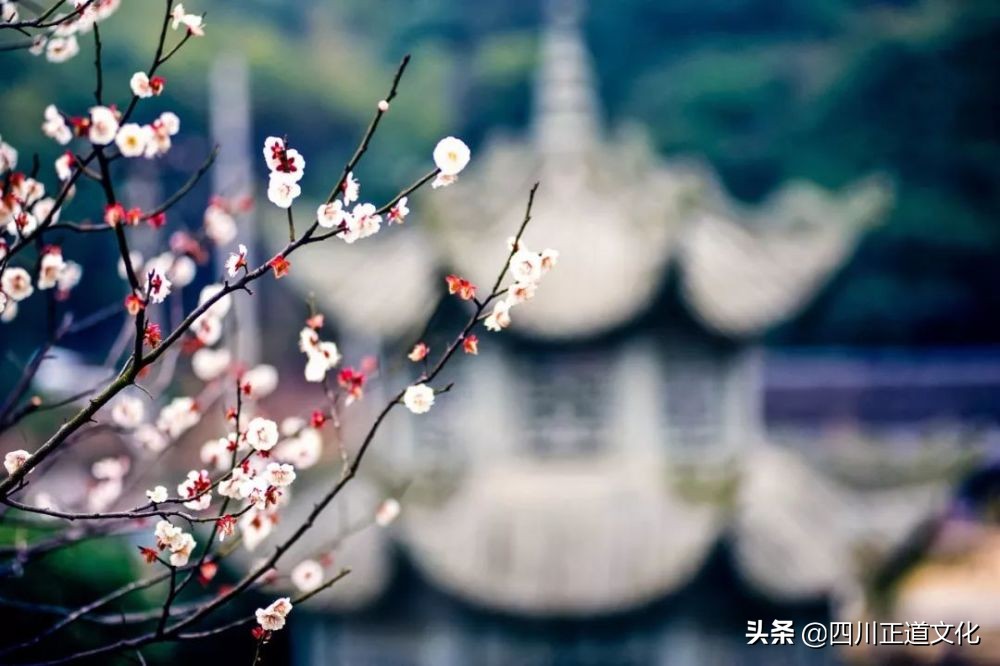 蕴含哲理的古诗文名句（富有哲理的诗句欣赏）