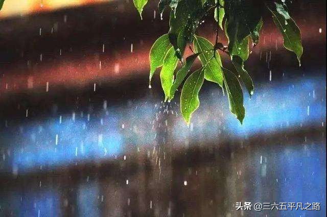 一场秋雨一场寒什么意思（一阵秋雨一阵寒的诗句）