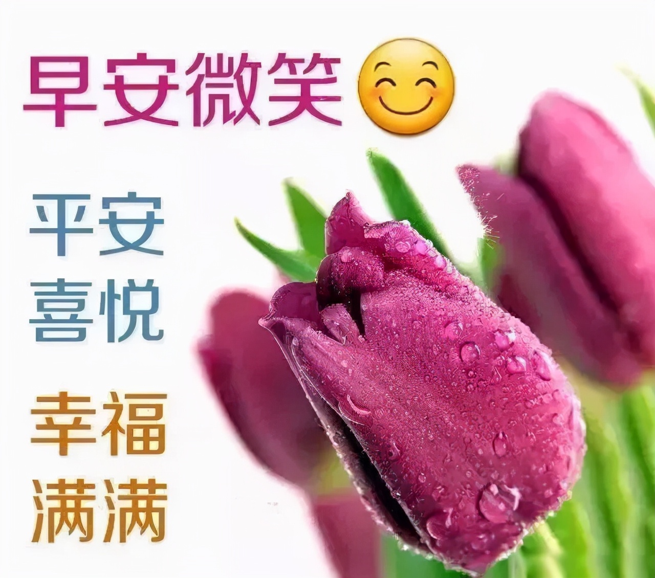 恋人短信早上问候语大全（一句话精致早安情侣）