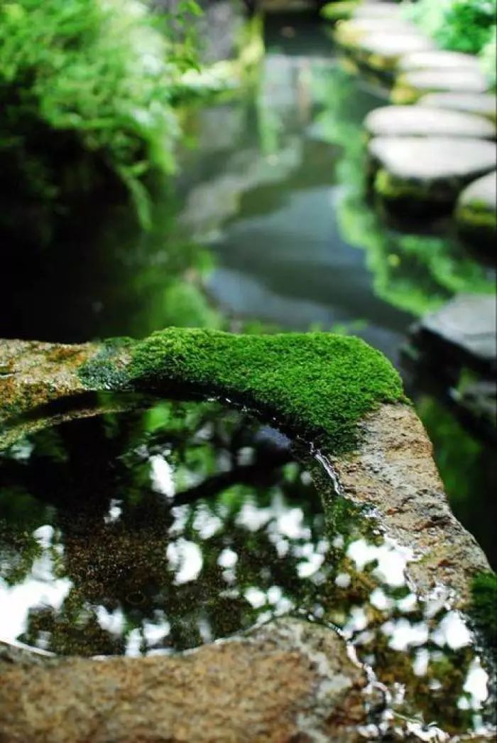 雨水节气的诗句有哪些（雨水的诗句古诗大全）