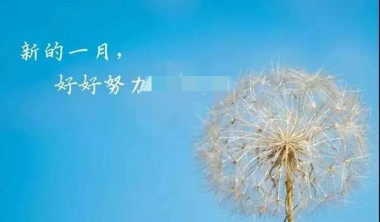 祝福的唯美句子短句（温暖祝福的句子唯美 ）