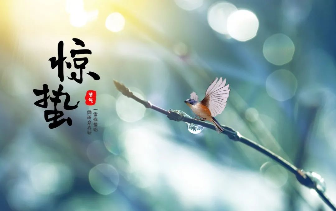 惊蛰诗句古诗大全（关于惊蛰的诗词唯美）