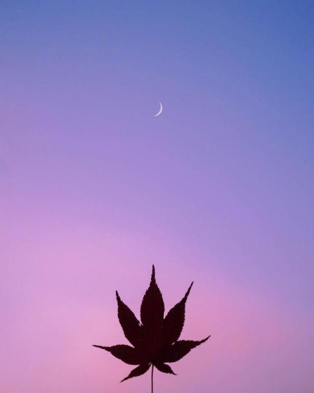 关于人生的句子经典（最透彻的人生感悟）