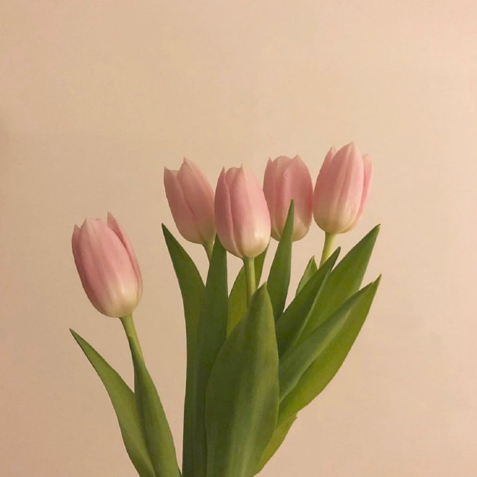 五一节日祝福短信（节日祝福语大全简短）
