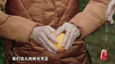 屈原故里在哪里（屈原故里介绍分享）